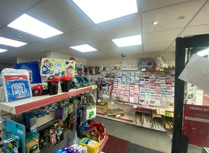 217 Skellow Rd, Skellow for lease Interior Photo- Image 2 of 4