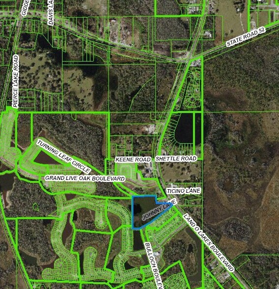 18711 Johnny Ln, Land O Lakes, FL for sale - Aerial - Image 1 of 1