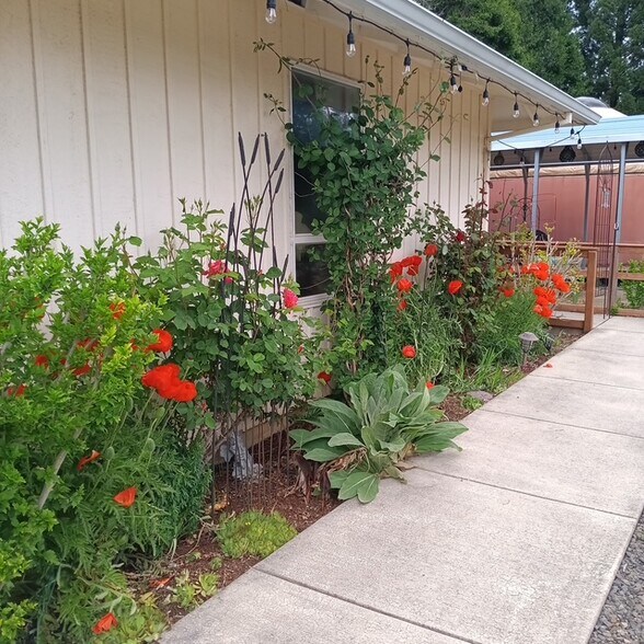 87991 Territorial Rd, Veneta, OR à vendre - Photo du bâtiment - Image 2 de 31