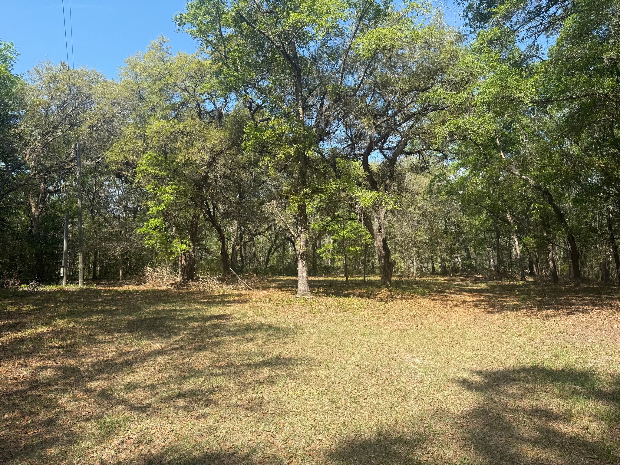 315 High Bluff Rd, Rincon, GA à vendre Photo principale- Image 1 de 7