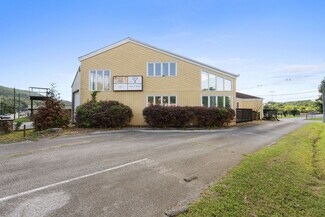 Plus de détails pour 320 Wears Valley Rd, Pigeon Forge, TN - Bureau à vendre
