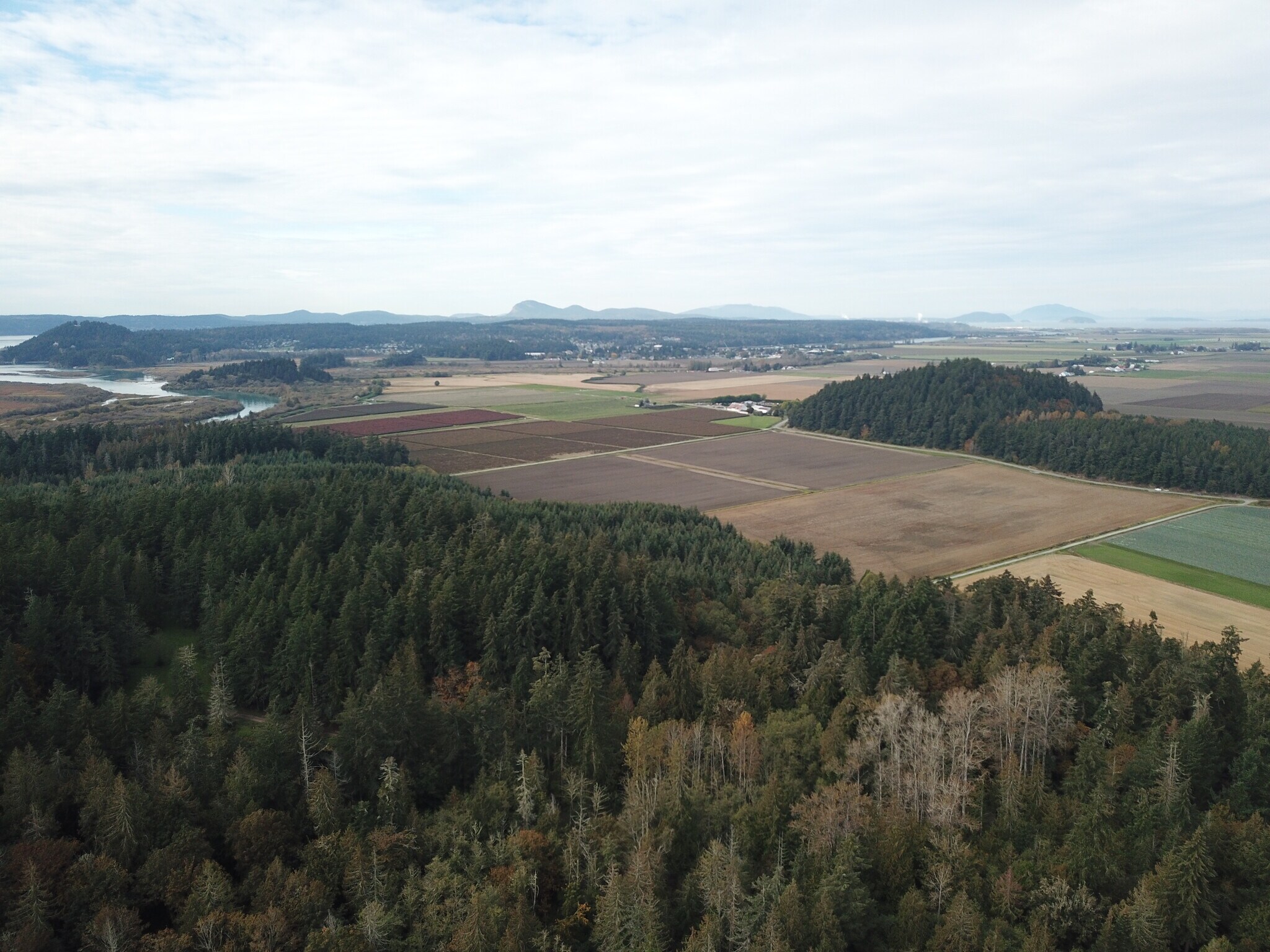 12672 Staffanson Ln, Mount Vernon, WA à vendre Photo principale- Image 1 de 14