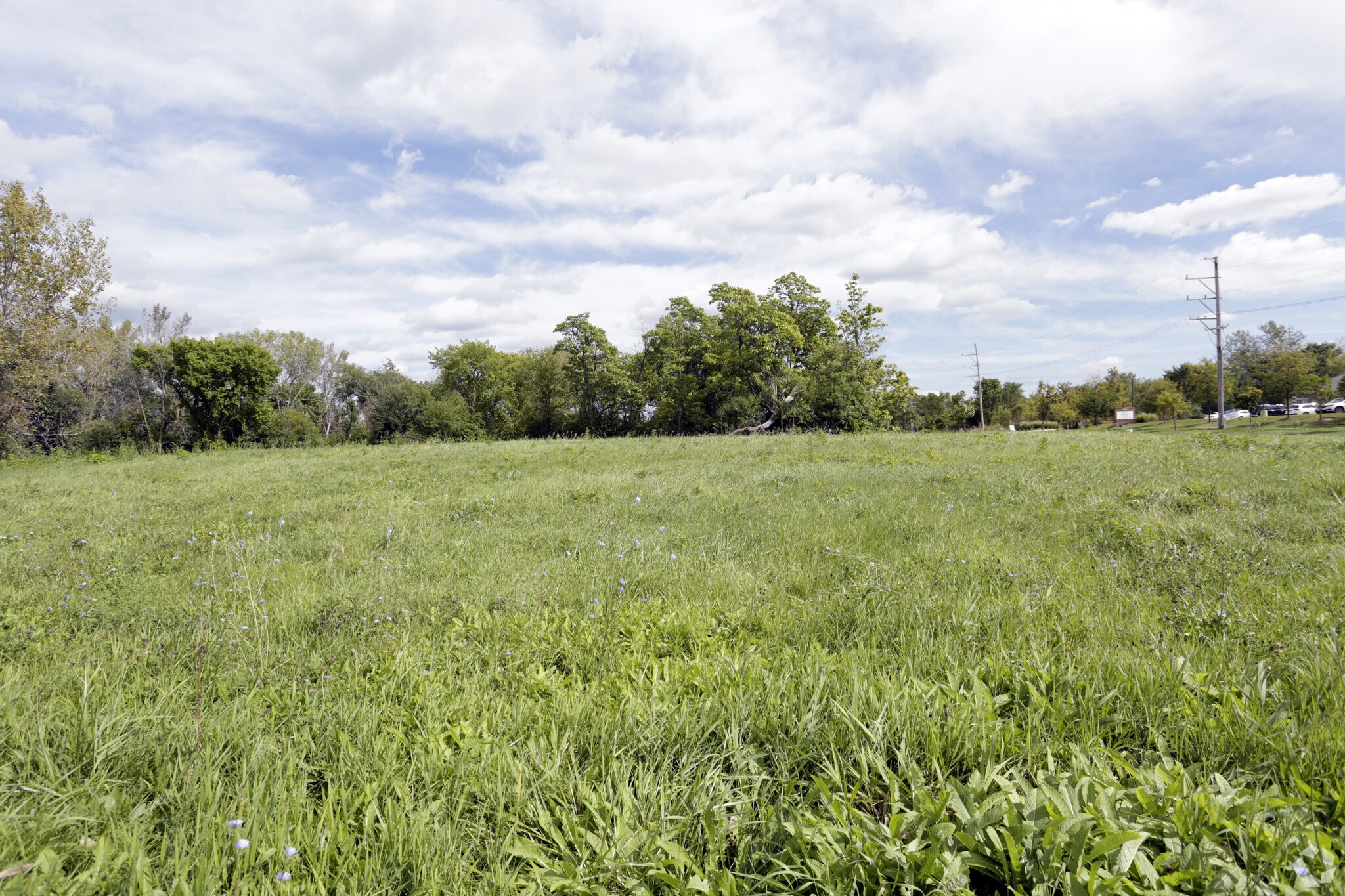 15915 W 127th St, Lemont, IL for sale Primary Photo- Image 1 of 4