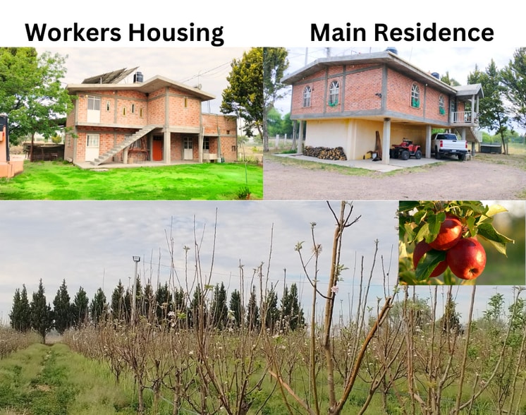 à vendre - Photo principale - Image 2 de 5