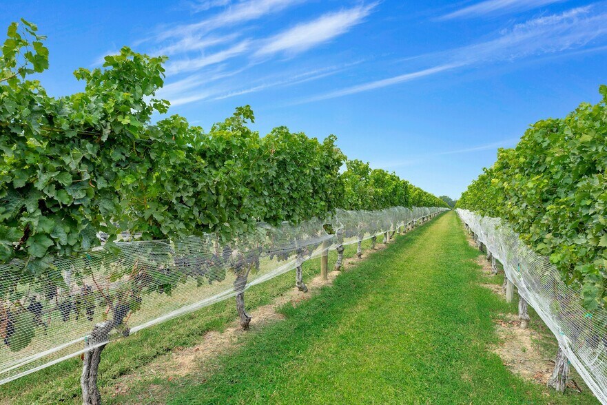 44075 Rte 25, Peconic, NY à vendre - Photo du bâtiment - Image 2 de 40