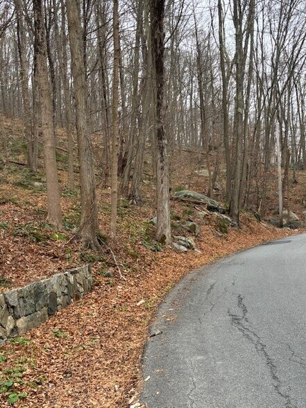 88 Wiccopee Rd, Putnam Valley, NY à vendre - Autre - Image 3 de 6