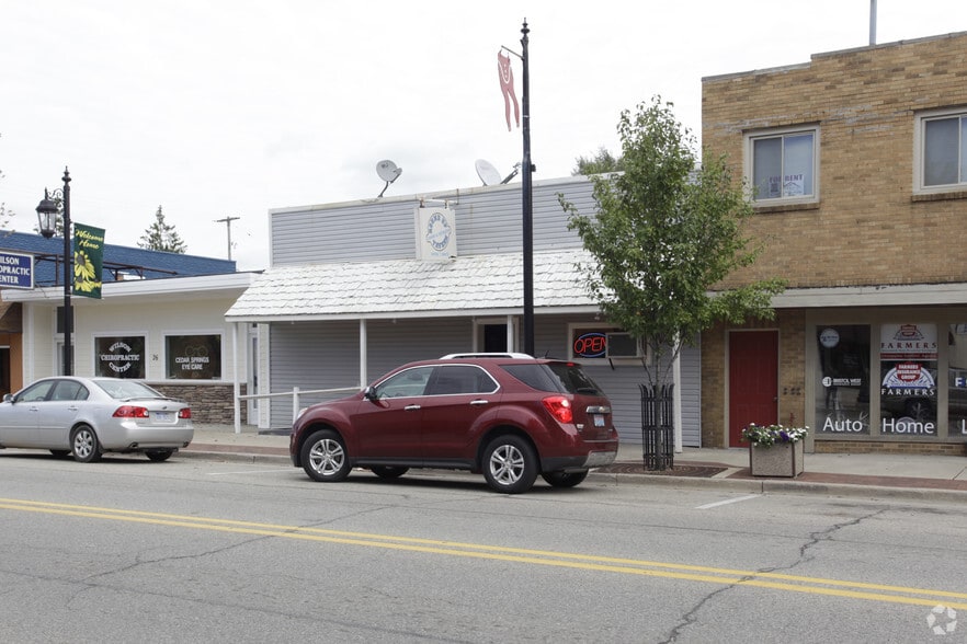 28 S Main St, Cedar Springs, MI for sale - Building Photo - Image 2 of 8