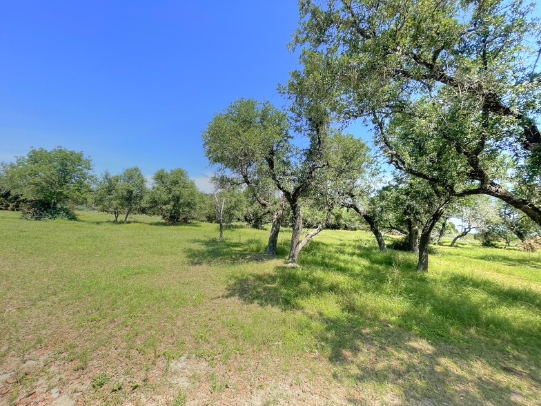 County Road 253, Bertram, TX à vendre - Photo du bâtiment - Image 3 de 37