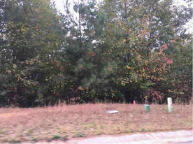 Bremen GA Lots - Owner Financed Property