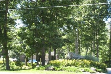 6189 Blue Star Hwy, Saugatuck, MI à louer - Photo du bâtiment - Image 3 de 22