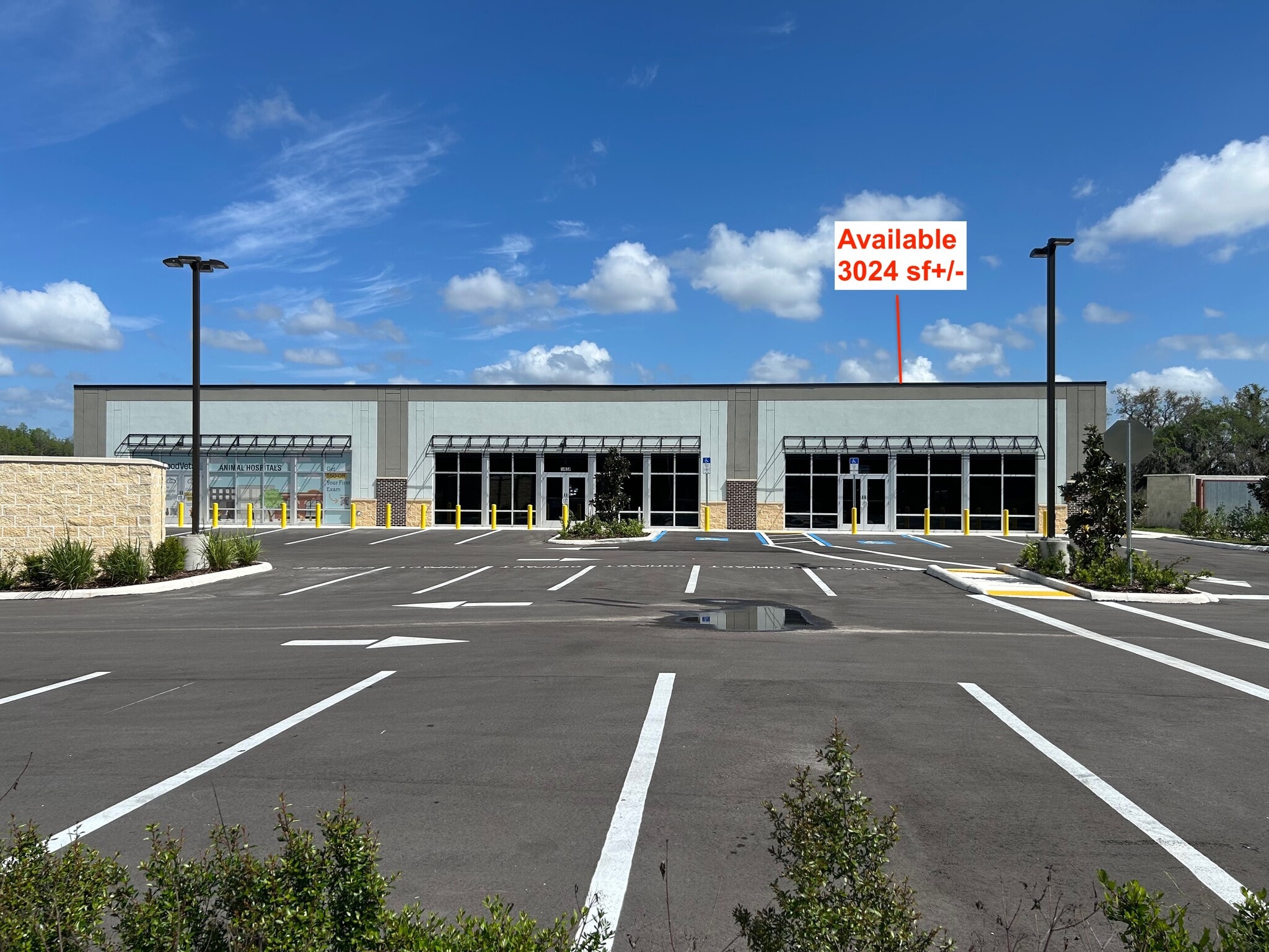 14669 State Road 54, Odessa, FL for lease Primary Photo- Image 1 of 2
