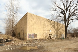 Plus de détails pour 6455 Le Grand St, Detroit, MI - Industriel à vendre