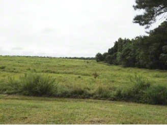 Old Creek Rd, Newington, GA à vendre - Photo principale - Image 1 de 1