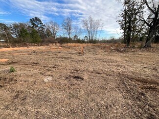 Plus de détails pour 52000 Block US-31 Hwy, Perdido, AL - Terrain à vendre