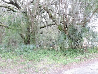 Plus de détails pour 2008 Nickerson Ln, Jacksonville, FL - Terrain à vendre