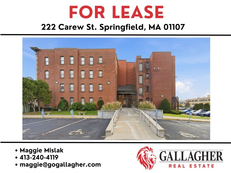 222 Carew St, Springfield, MA à louer - Photo du bâtiment - Image 1 de 23