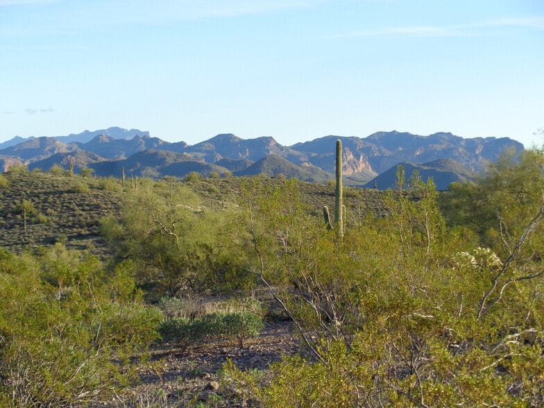 13801 N Tierra Del Oro, Fort Mcdowell, AZ for sale - Other - Image 2 of 12