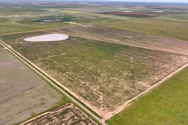 807 County Road 515, Dimmitt, TX à vendre - Photo du bâtiment - Image 3 de 6