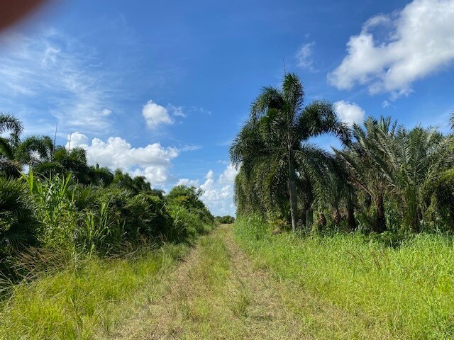 394XX SW 197th Ave, Florida City, FL for sale - Primary Photo - Image 1 of 6