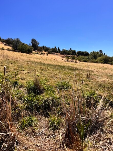 7775 McRanch Rd Rd, Auburn, CA for lease - Building Photo - Image 2 of 6