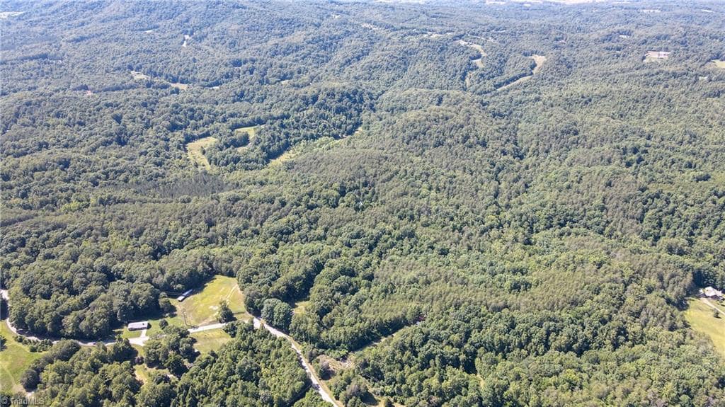 1215 Lucius Beasley Rd, Westfield, NC for sale Aerial- Image 1 of 16