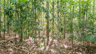 More details for 0 Roosevelt Hwy, Warm Springs, GA - Land for Sale