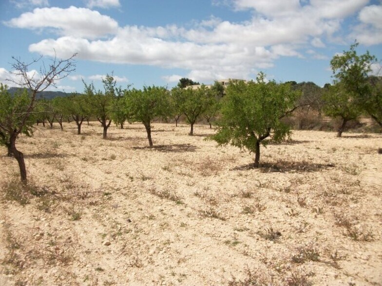Land in MONÒVER, Alicante for sale - Site Plan - Image 1 of 3