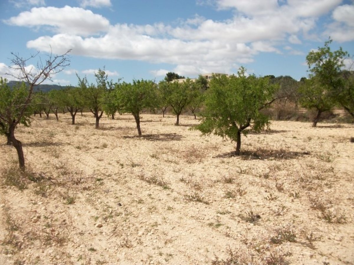 Land in MONÒVER, Alicante for sale Site Plan- Image 1 of 4