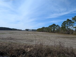 Plus de détails pour 522 Plum Nearly Ln, Trenton, NC - Terrain à vendre