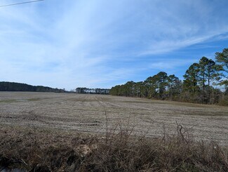 Plus de détails pour 522 Plum Nearly Ln, Trenton, NC - Terrain à vendre