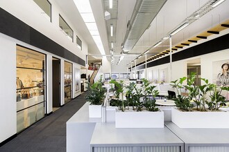 56 Victoria St, McMahons Point à louer Photo intérieure- Image 1 de 8