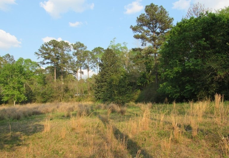 0 S Main St, Moultrie, GA for sale Building Photo- Image 1 of 2