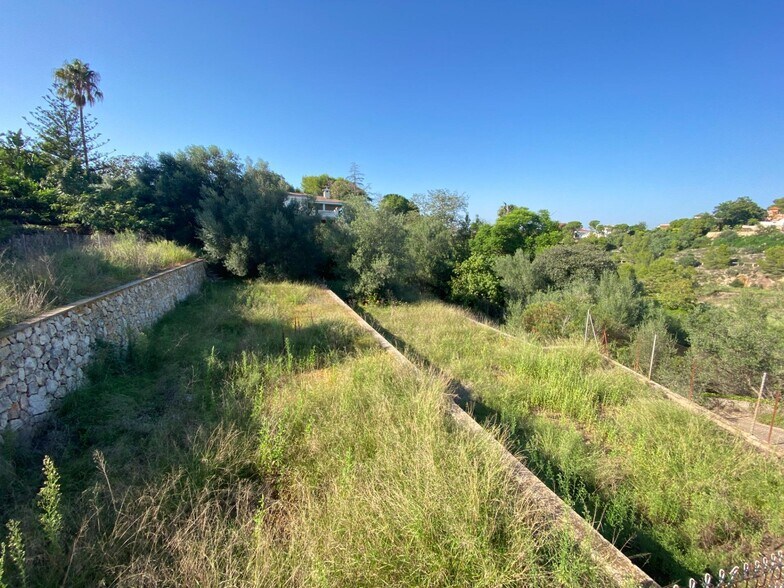 Land in Alzira, Valencia for sale - Primary Photo - Image 1 of 8