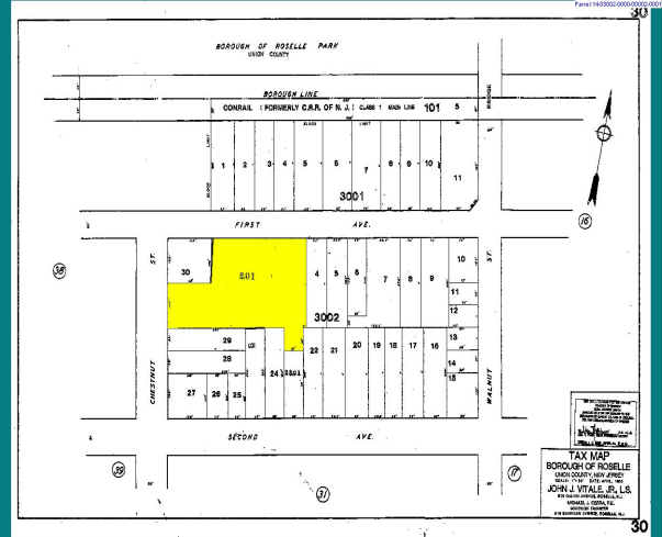 120 Chestnut St, Roselle, NJ à vendre - Plan cadastral - Image 1 de 1