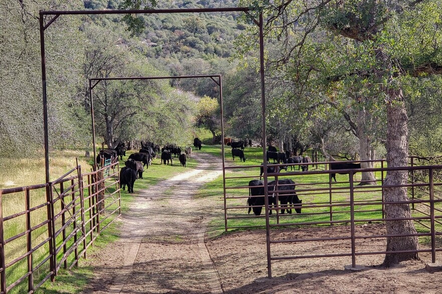 Dry Creek Drive, Badger, CA à vendre - Photo du bâtiment - Image 2 de 23