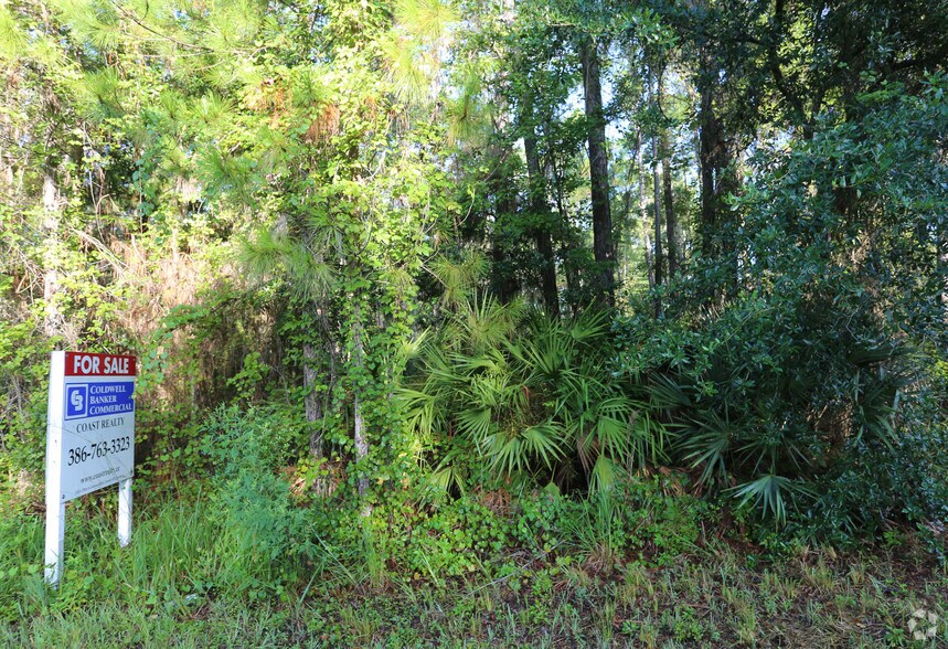 Prevatt Dr, Lake Helen, FL à vendre - Photo du bâtiment - Image 2 de 2