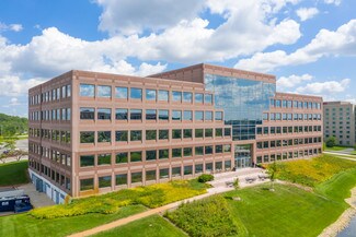 Plus de détails pour 1333 Burr Ridge Pky, Burr Ridge, IL - Coworking à louer