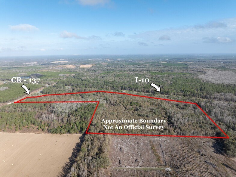 TBD 137, Wellborn, FL for sale - Building Photo - Image 2 of 19