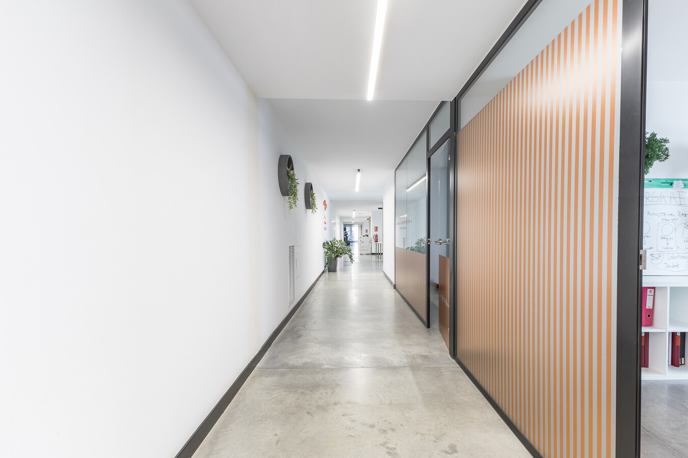 L'Hospitalet de Llobregat, BAR 08906 - Unit 1 -  - Interior Photo - Image 1 of 33