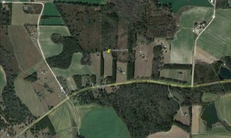 Plus de détails pour 0 Troupeville Rd, Quitman, GA - Terrain à vendre