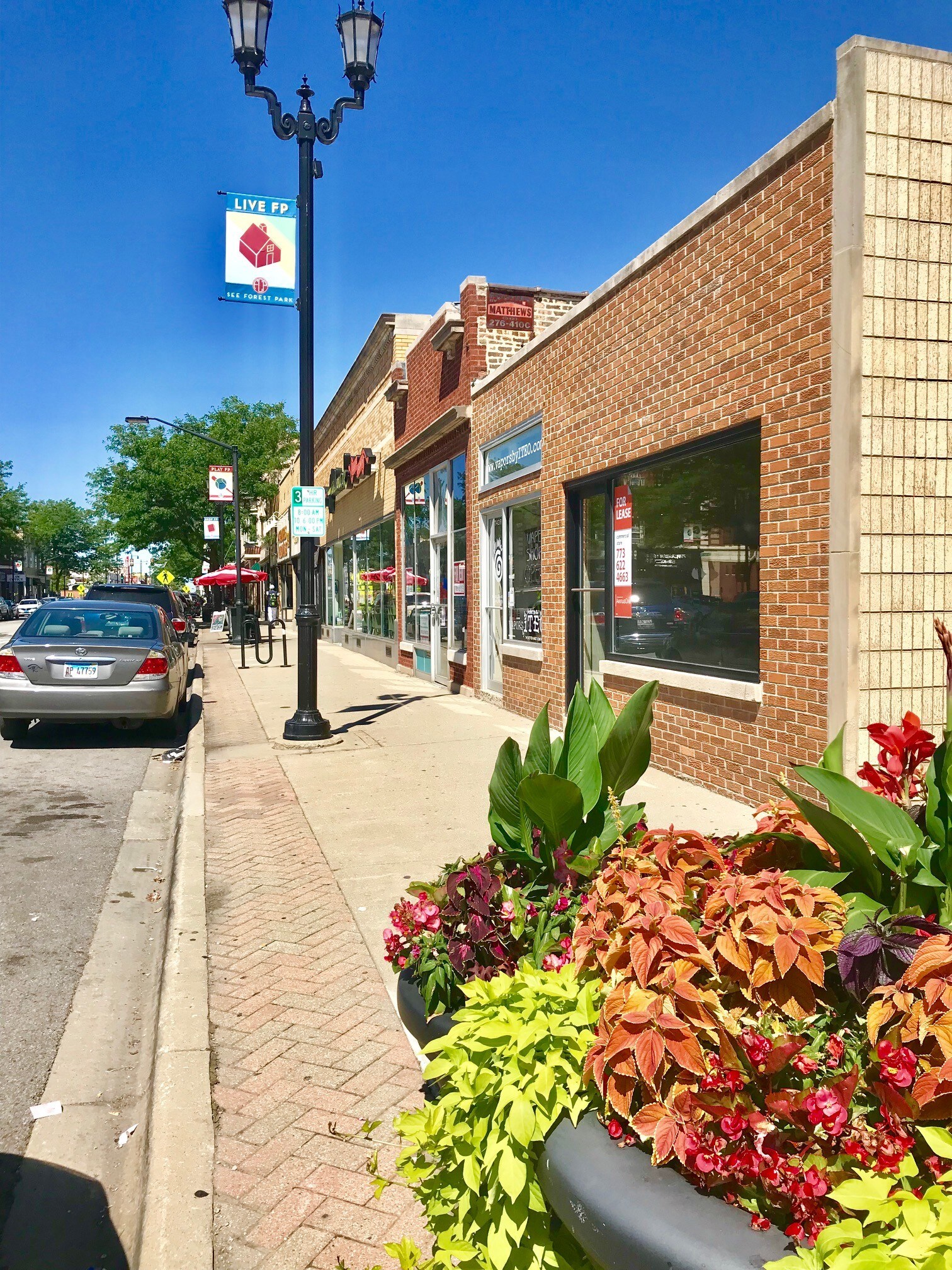 7439 Madison St, Forest Park, IL à louer Autre- Image 1 de 11