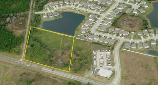 Plus de détails pour 31507 State Road 54, Wesley Chapel, FL - Terrain à vendre