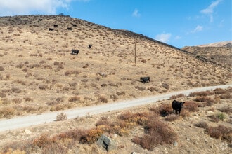 35900 Anthony Rd, Agua Dulce, CA - AERIAL  map view - Image1
