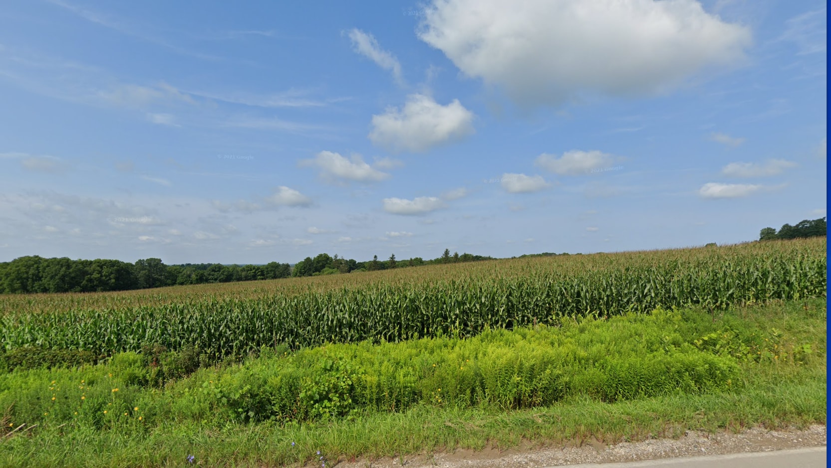 Little Farm Blvd, Astra, ON for lease Primary Photo- Image 1 of 3