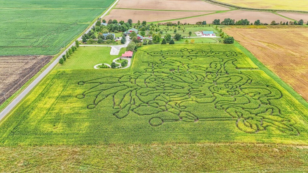 1356 County Road 2900 N, Rantoul, IL à vendre - Aérien - Image 3 de 144