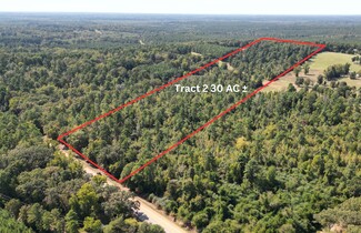 Plus de détails pour TBD TX 43' hwy, Bivins, TX - Terrain à vendre