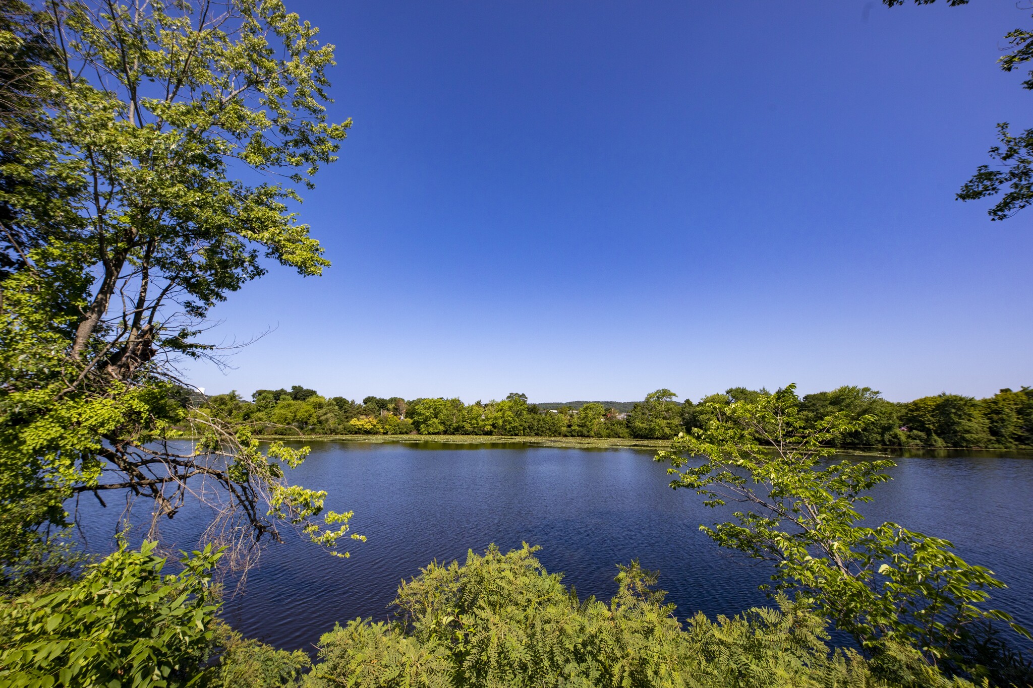 67 Crescent, Waltham, MA for sale Aerial- Image 1 of 9