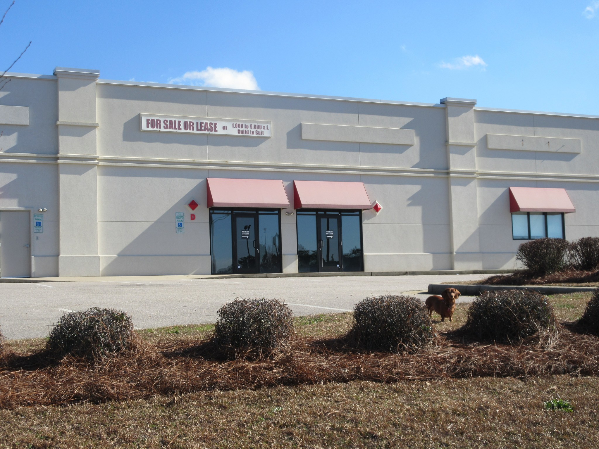 3011 W Nc-42 Hwy, Wilson, NC for sale Building Photo- Image 1 of 1