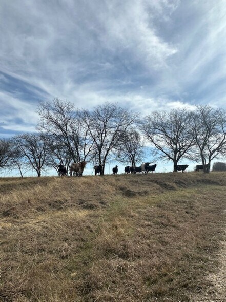 363 County Road 4403, Grandview, TX à vendre - Photo du bâtiment - Image 2 de 52
