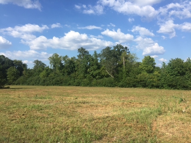 Joe Frank Harris Pky, Adairsville, GA for sale Primary Photo- Image 1 of 10